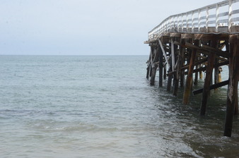 Enlarge photo 62