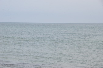 Enlarge photo 63