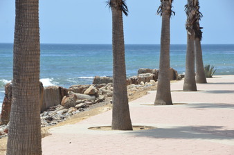 Enlarge photo 15
