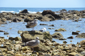 Enlarge photo 23