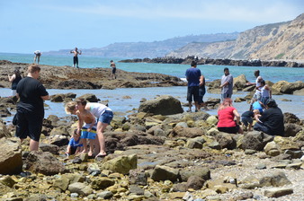 Enlarge photo 25