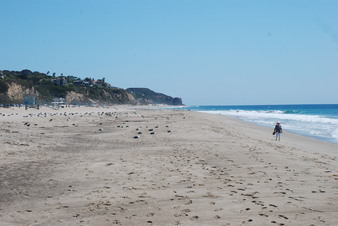 Enlarge photo 18