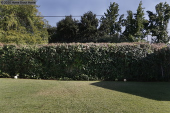 Enlarge photo 35