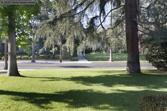 Enlarge photo 45