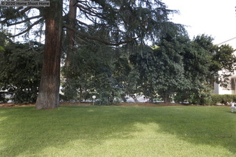 Enlarge photo 46