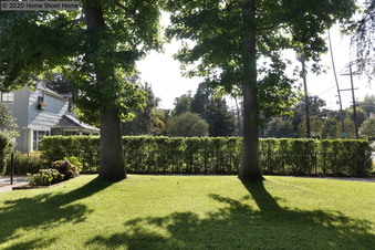 Enlarge photo 47