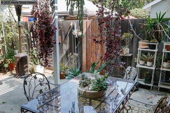 Enlarge photo 46