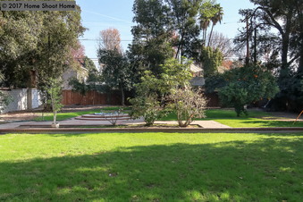 Enlarge photo 57