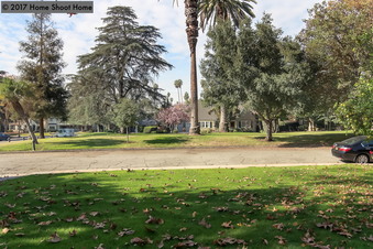 Enlarge photo 64