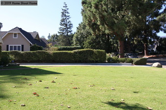 Enlarge photo 67
