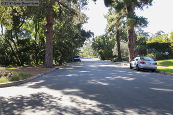 Enlarge photo 71