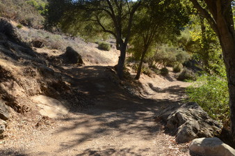 Enlarge photo 1