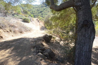 Enlarge photo 5