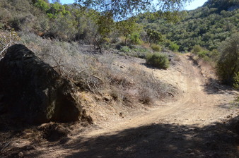 Enlarge photo 6