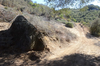 Enlarge photo 7