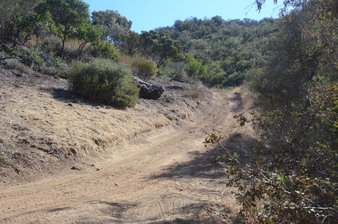 Enlarge photo 16