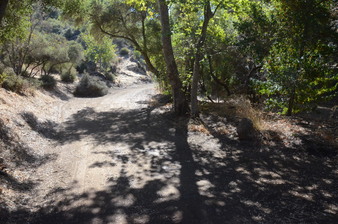 Enlarge photo 20