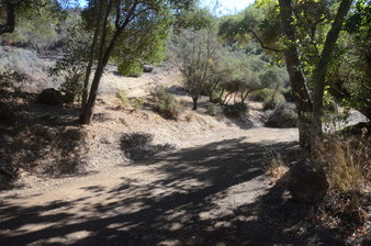 Enlarge photo 23