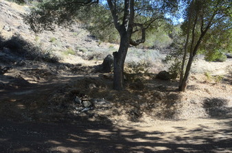 Enlarge photo 30