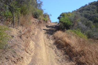Enlarge photo 31