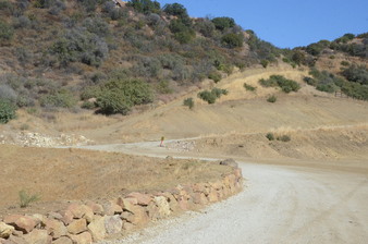 Enlarge photo 41