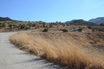 Enlarge photo 45