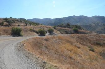 Enlarge photo 46