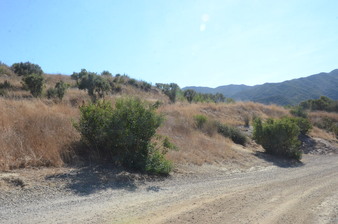 Enlarge photo 47