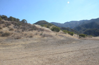 Enlarge photo 48