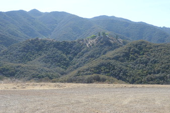 Enlarge photo 51