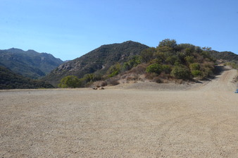 Enlarge photo 52