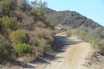 Enlarge photo 53