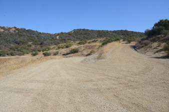 Enlarge photo 54