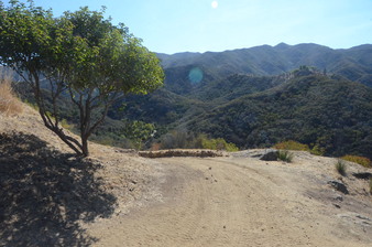 Enlarge photo 58