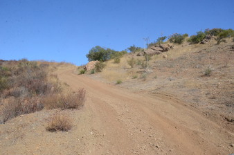 Enlarge photo 78