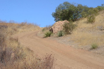 Enlarge photo 79