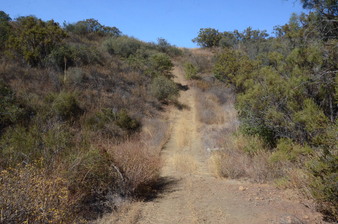 Enlarge photo 90
