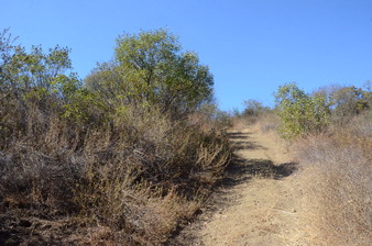 Enlarge photo 92