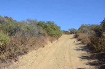 Enlarge photo 94