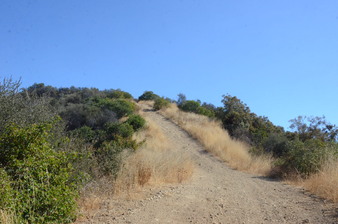Enlarge photo 95
