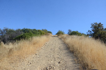 Enlarge photo 96