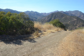 Enlarge photo 98