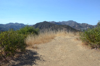 Enlarge photo 102