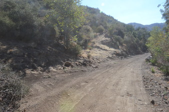 Enlarge photo 108