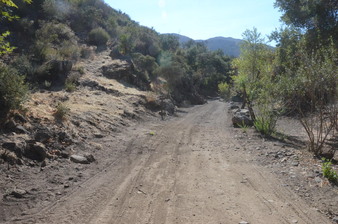 Enlarge photo 109