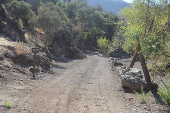 Enlarge photo 110
