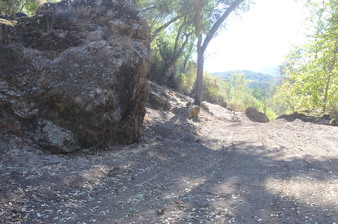 Enlarge photo 125