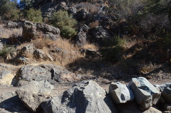 Enlarge photo 135