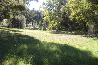 Enlarge photo 139