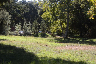 Enlarge photo 140